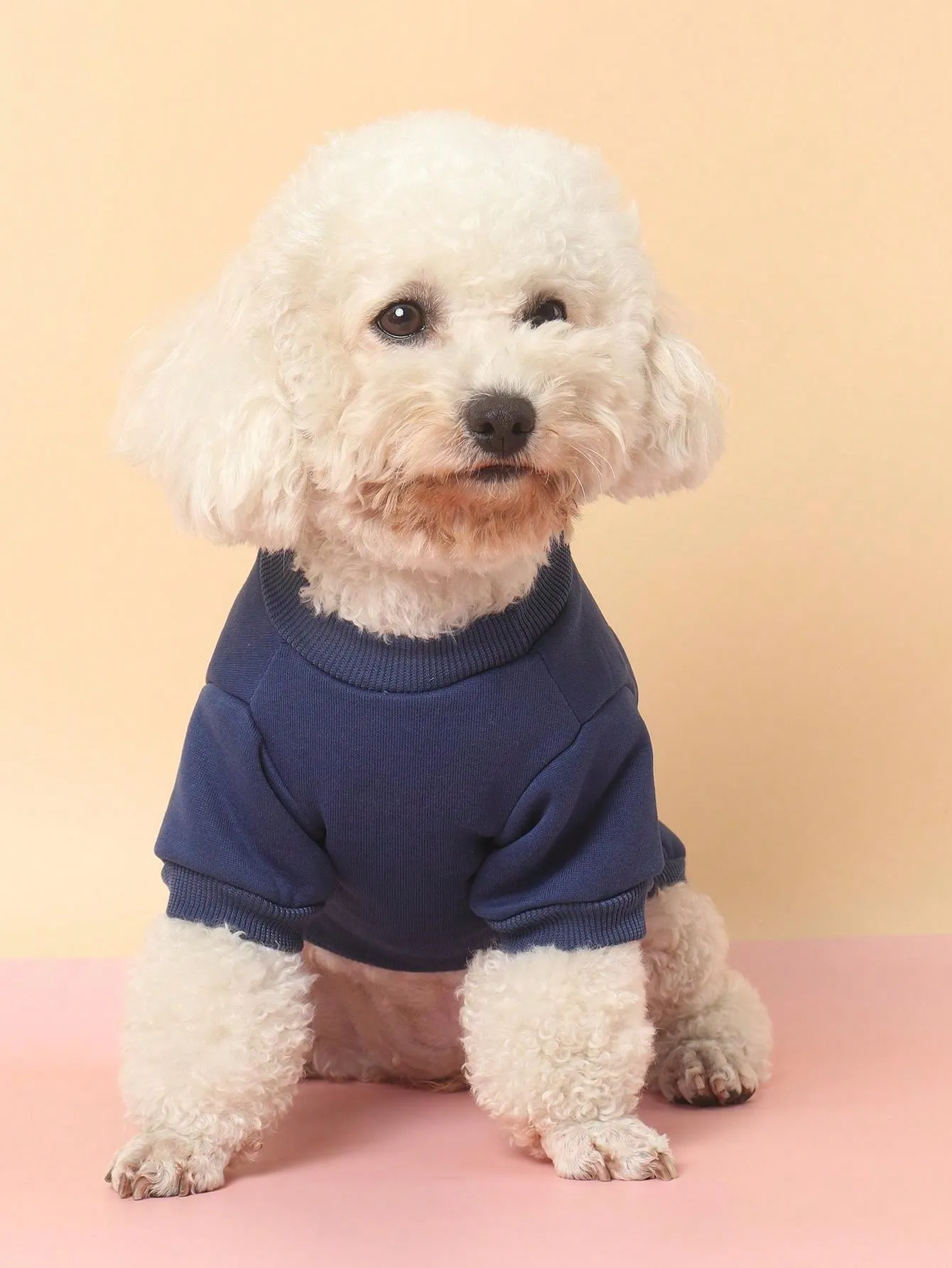 1pc Polyester Two-Leg Thin Fleece Comfortable Breathable Lovely Bear Pattern Round Neck Fall/Winter Sweatshirt For Small Dogs And Cats Indoor/Outdoor Use(Tips: Size May Be Smaller. We Suggest Choosing 1-2 Sizes Up.)