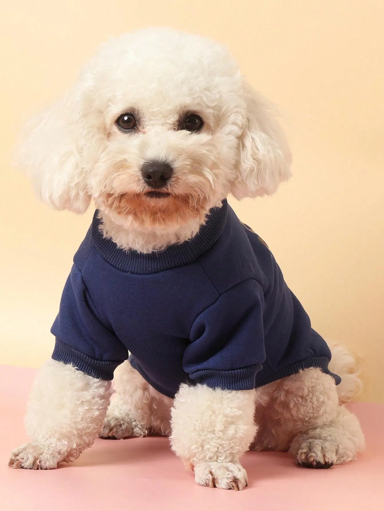 1pc Polyester Two-Leg Thin Fleece Comfortable Breathable Lovely Bear Pattern Round Neck Fall/Winter Sweatshirt For Small Dogs And Cats Indoor/Outdoor Use(Tips: Size May Be Smaller. We Suggest Choosing 1-2 Sizes Up.)