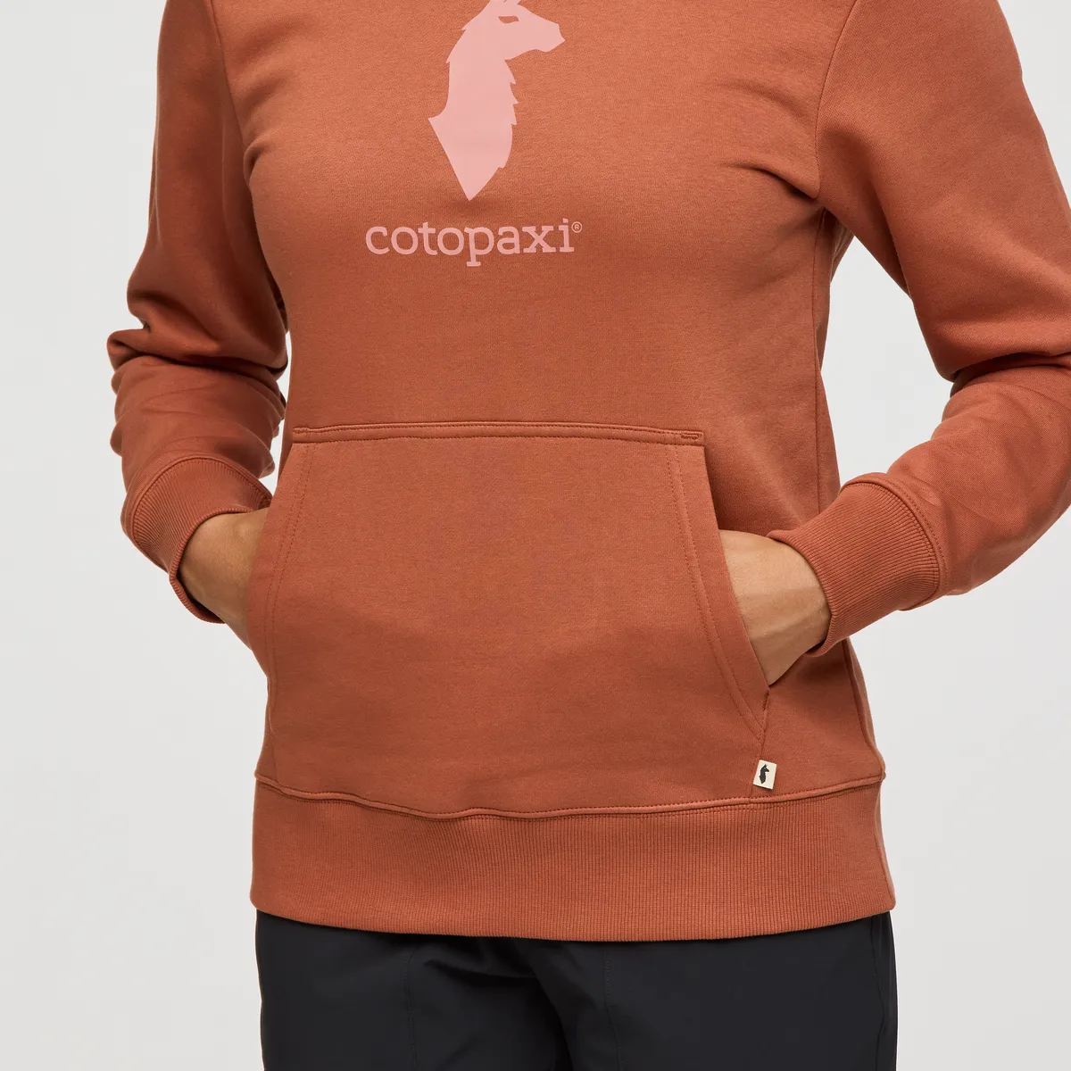 Cotopaxi Llama Pullover Hoodie - Women's