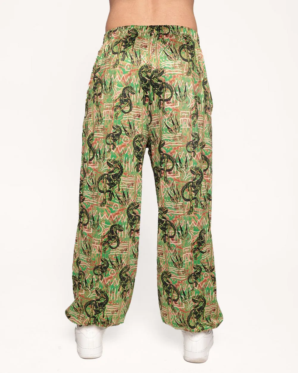 Dino Dominion Men's Harem Pants