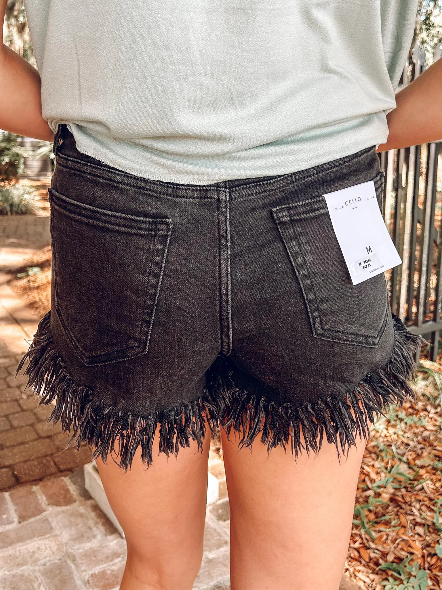 Kenzie Frayed Denim Shorts | Black