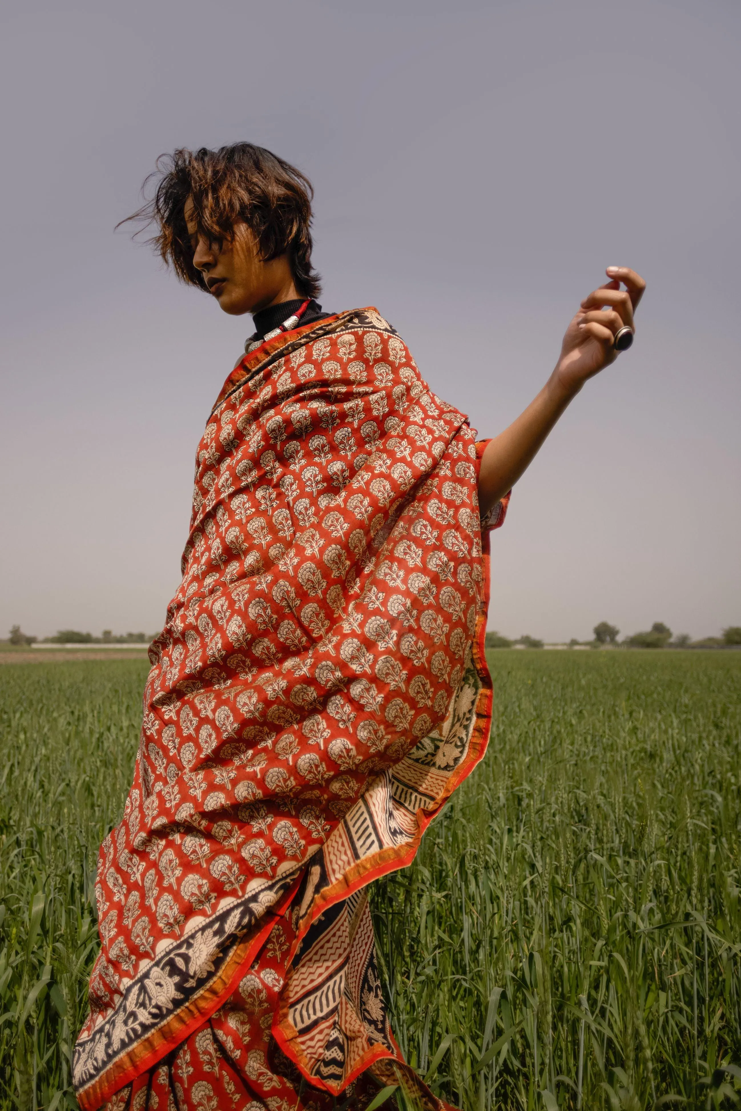 Roheda Gulab Syahi Begar Chanderi Saree