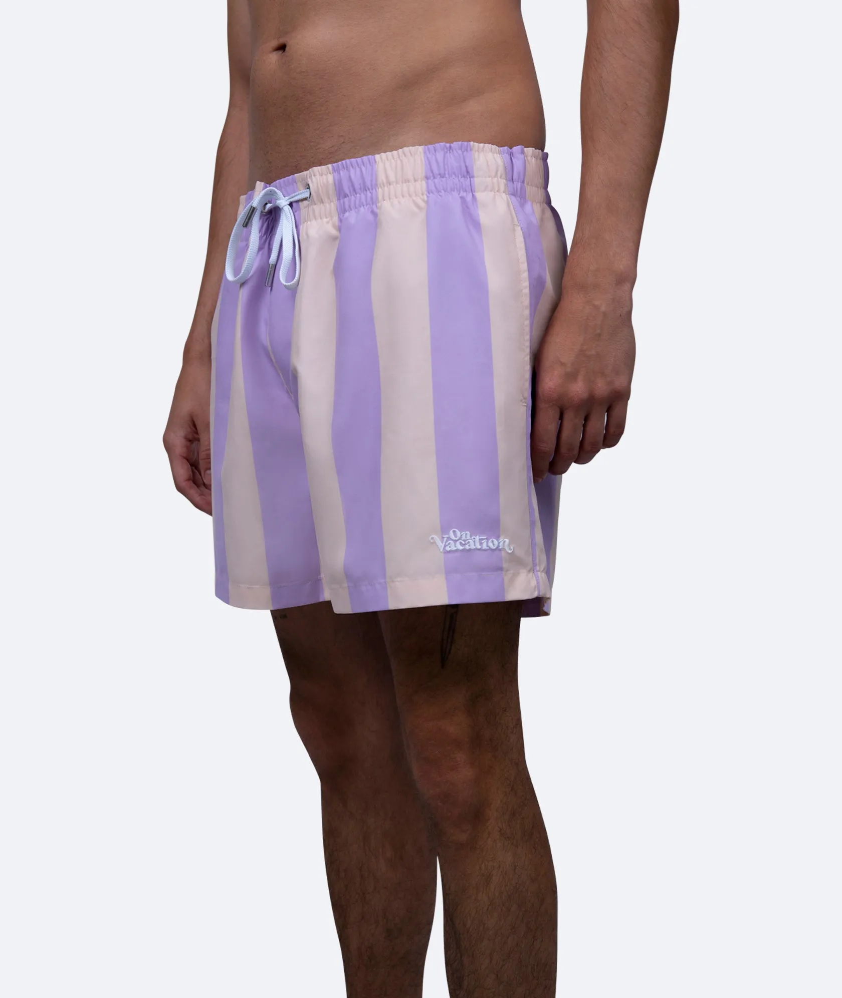 Swim Shorts Stripe - Multi